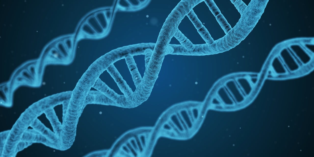 新澳天天开奖资料大全最新-最新研究解读：探索科学前沿的发现与启示