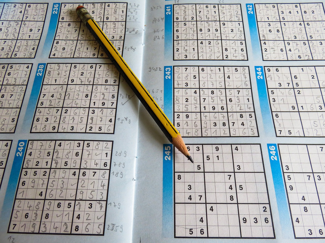 新澳天天开奖资料大全下载安装，高效计划实施，运动版827.758