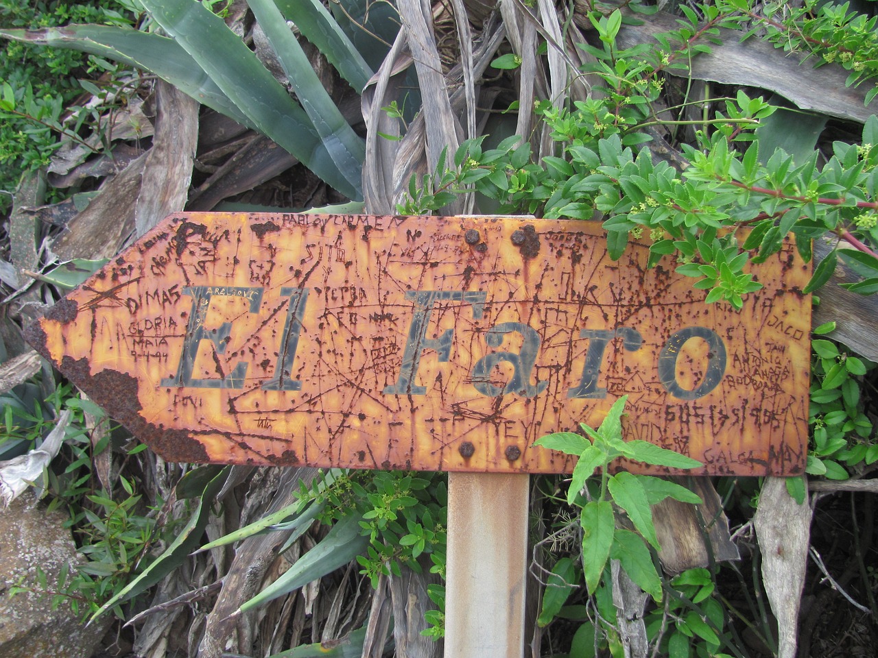 涟水梁岔最新新闻动态概览