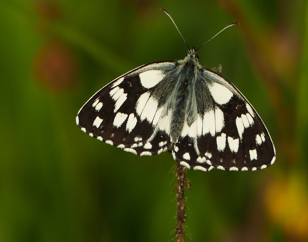 阜丰时代城最新价格动态及解析